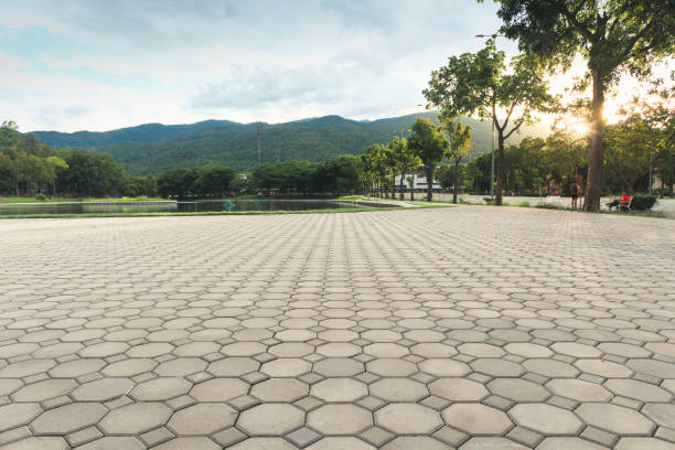 Best Concrete Paver Driveway  in Federal Y, WA