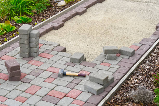 Best Driveway Paving Contractor  in Federal Y, WA